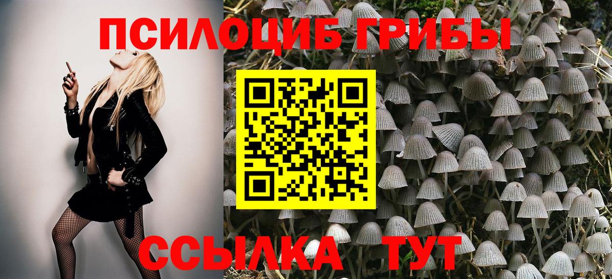 Галлюциногенные грибы Cubensis Жигулёвск
